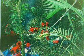 inthegreen